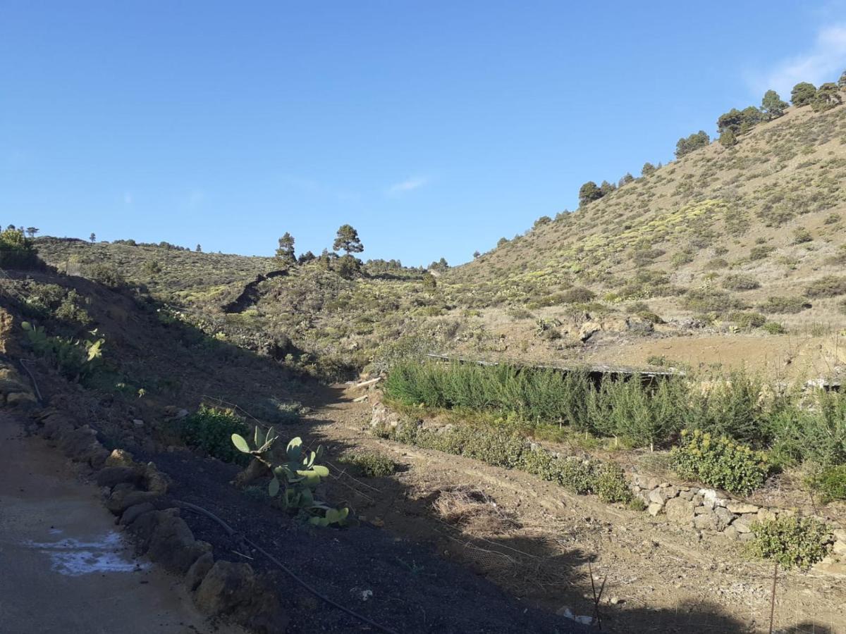 Casa Rural Los Santillos El Pinar  Dış mekan fotoğraf